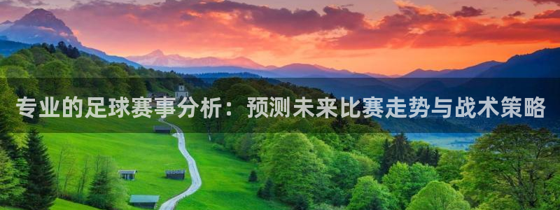 专业的足球赛事分析：预测未来比赛走势与战术策略