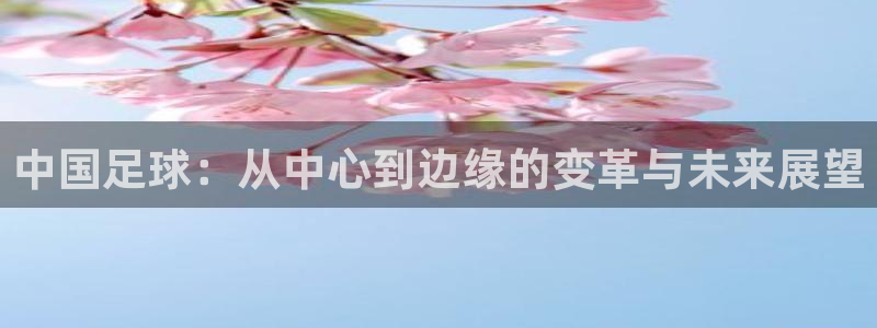 中国足球：从中心到边缘的变革与未来展望