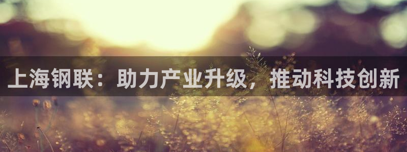 上海钢联：助力产业升级，推动科技创新